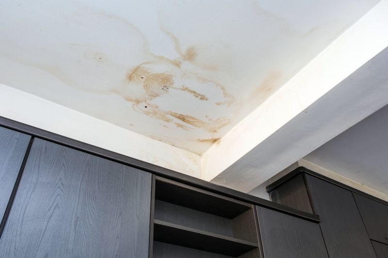 Building Damage Repair in Denver, CO